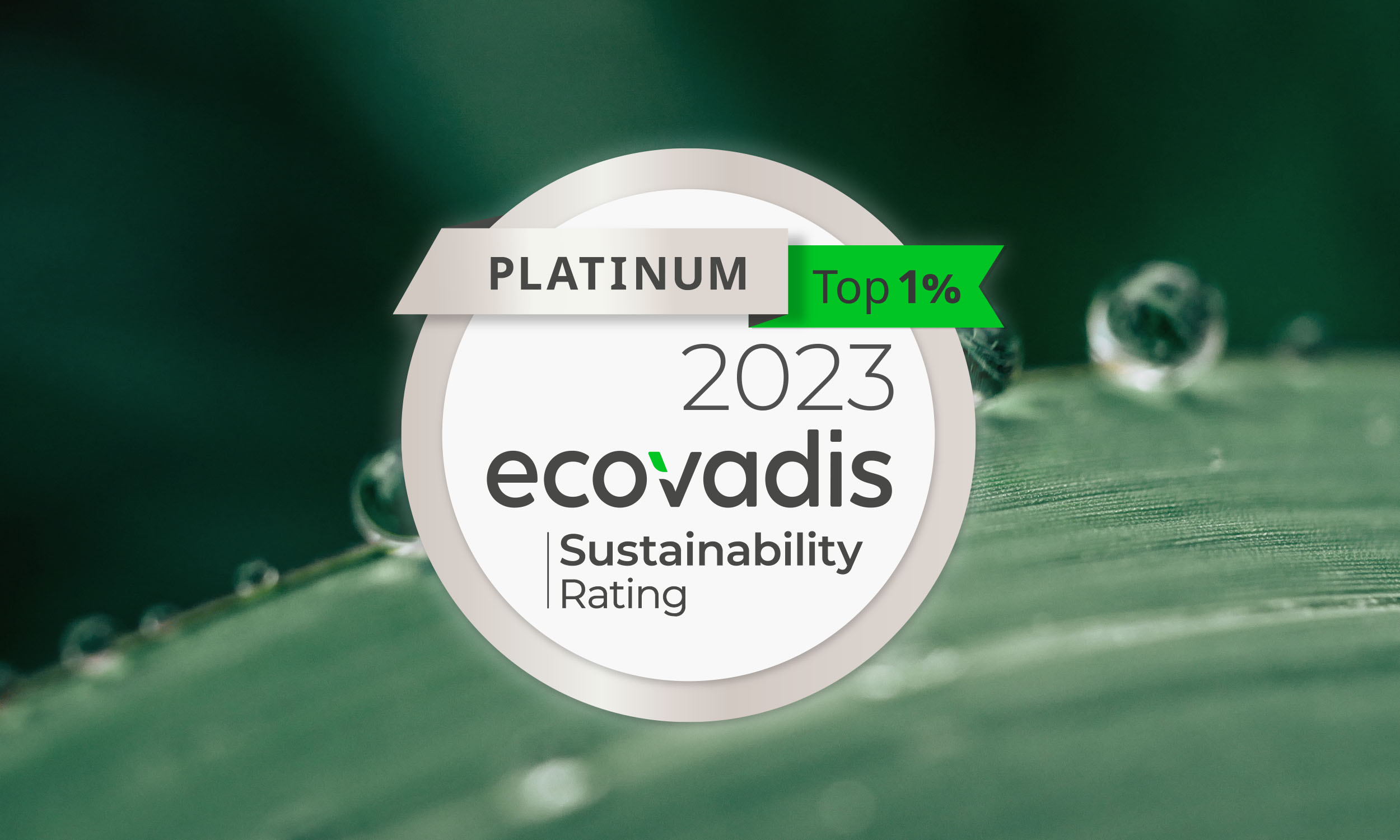 EcoVadis Nowy Styl