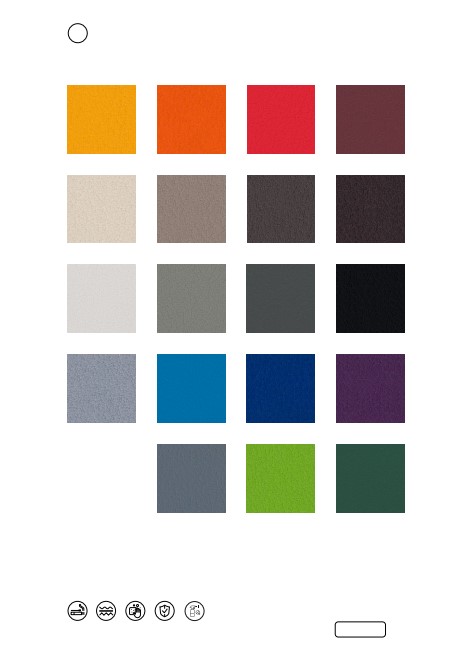 P. willinckii ’Jenny’ TC 2818 P. willinckii 'Jenny' 2801 P. willinckii 'Jenny' TC 328